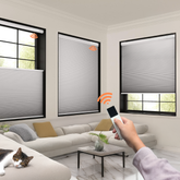 No Drill Detachable Battery Top Down Bottom Up Cellular Shades Dual Controller
